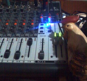 Cocker Rinning Mix for Stink Finger Radio