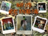 EP96